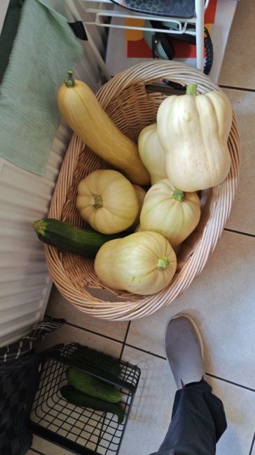 IMG-20261006-WA0002.jpeg