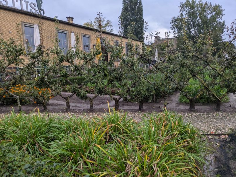 PXL_20261009_161227798.jpg