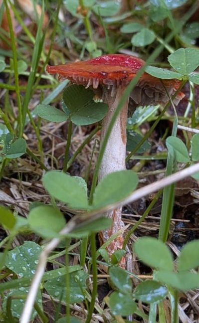 PXL_20261022_121756869~2.jpg