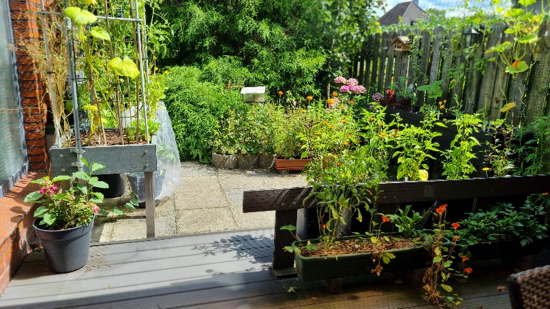 image.png image.png
